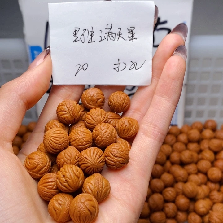 手串桃核11mm左右野生满天星20颗（打孔）