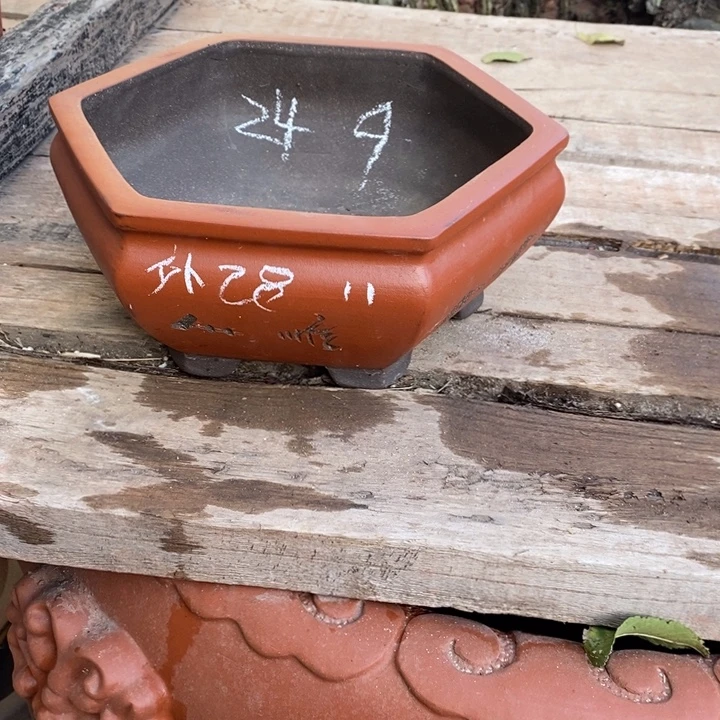 紫砂花盆只顾自己了就行