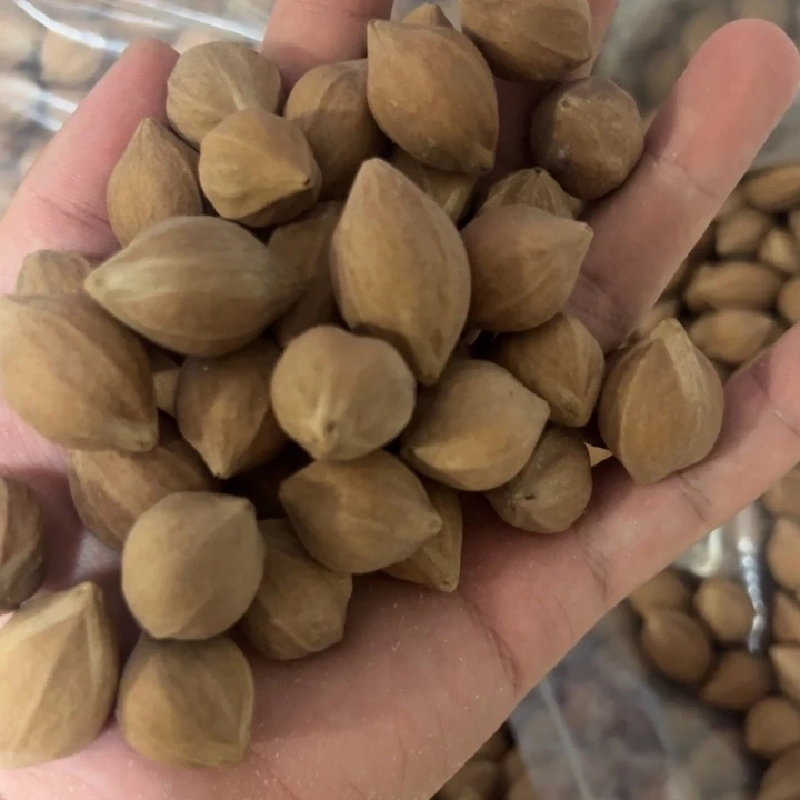 核桃手串/手链1.99以下通货罗汉料子一斤