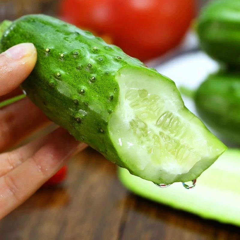 净重五斤东北优质旱黄瓜农户种植新鲜现摘现发农产品小黄瓜