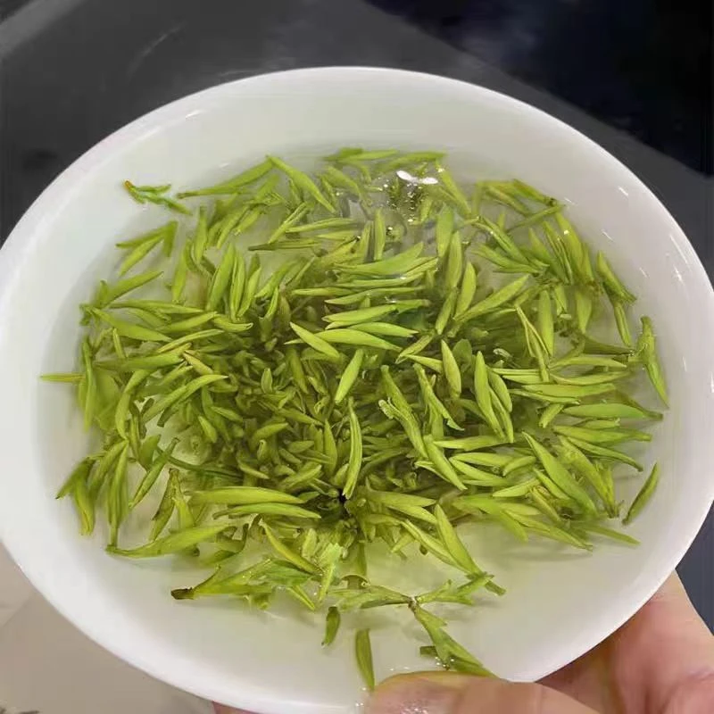 2025新茶明前安徽茶叶黄芽明前一级高山黄芽毛峰茶叶绿茶袋装250g