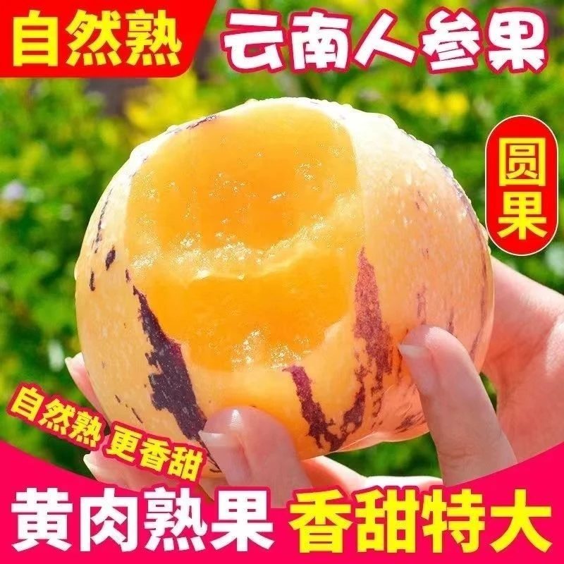 5斤装云南人参果树熟果黄肉圆果清甜多汁新鲜水果