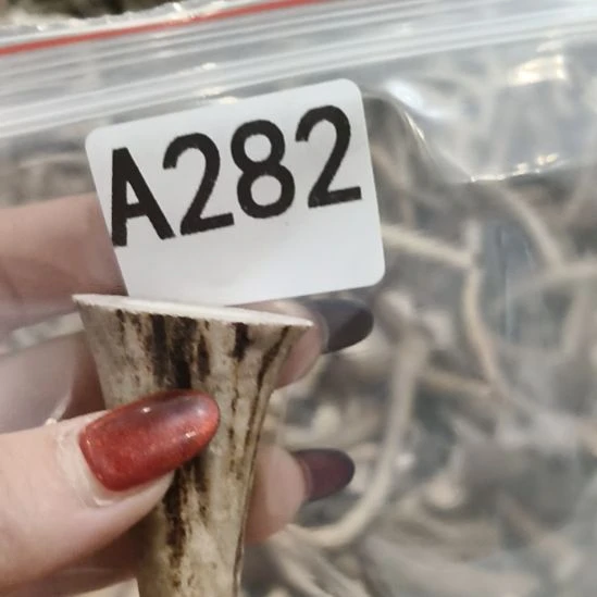 随***月鹿角鹿角鹿角鹿角鹿角