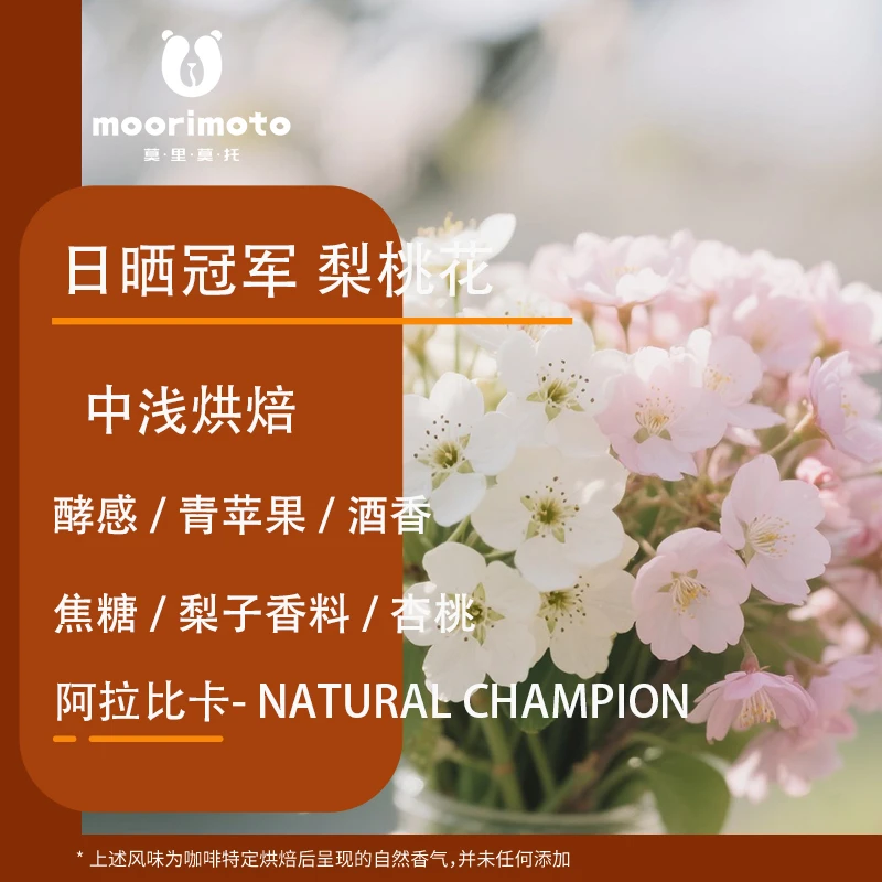 2024空运批次埃塞俄比亚TOH日晒冠军GUJI梨桃花精品咖啡豆100g