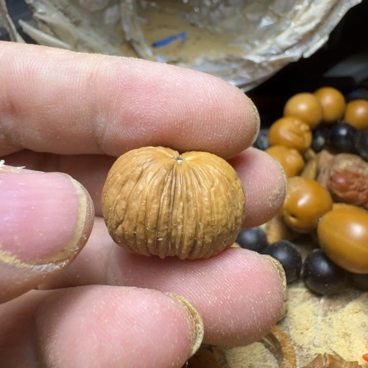 橄榄核手串/手链南*顶级大师之风和三剑