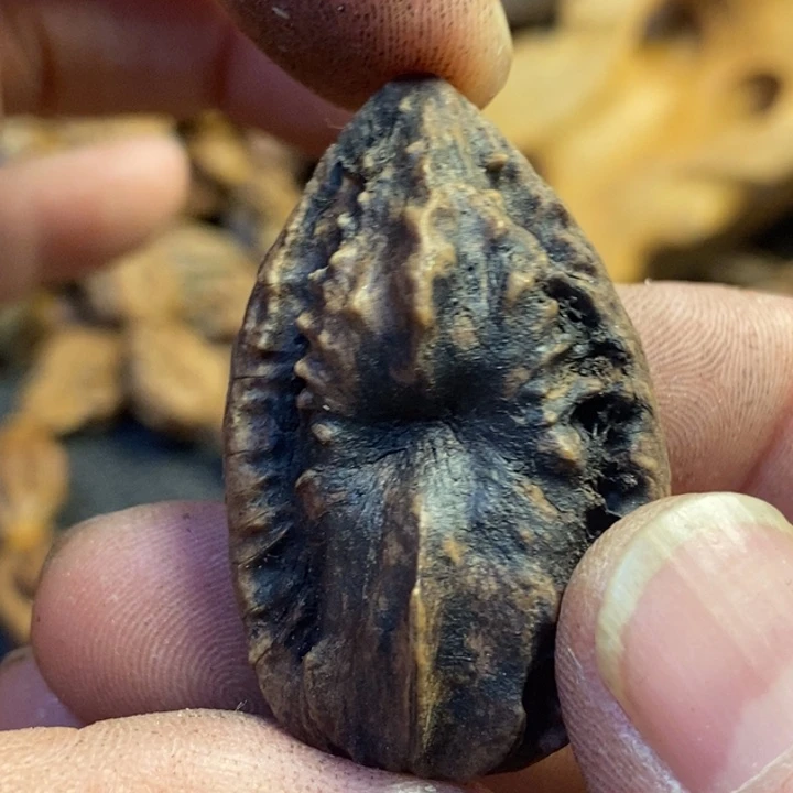 文玩核桃吊坠东北特产313