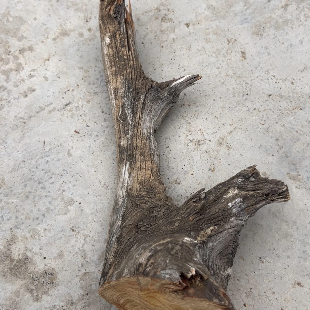 柏木（崖柏）太行陈化材料1斤多