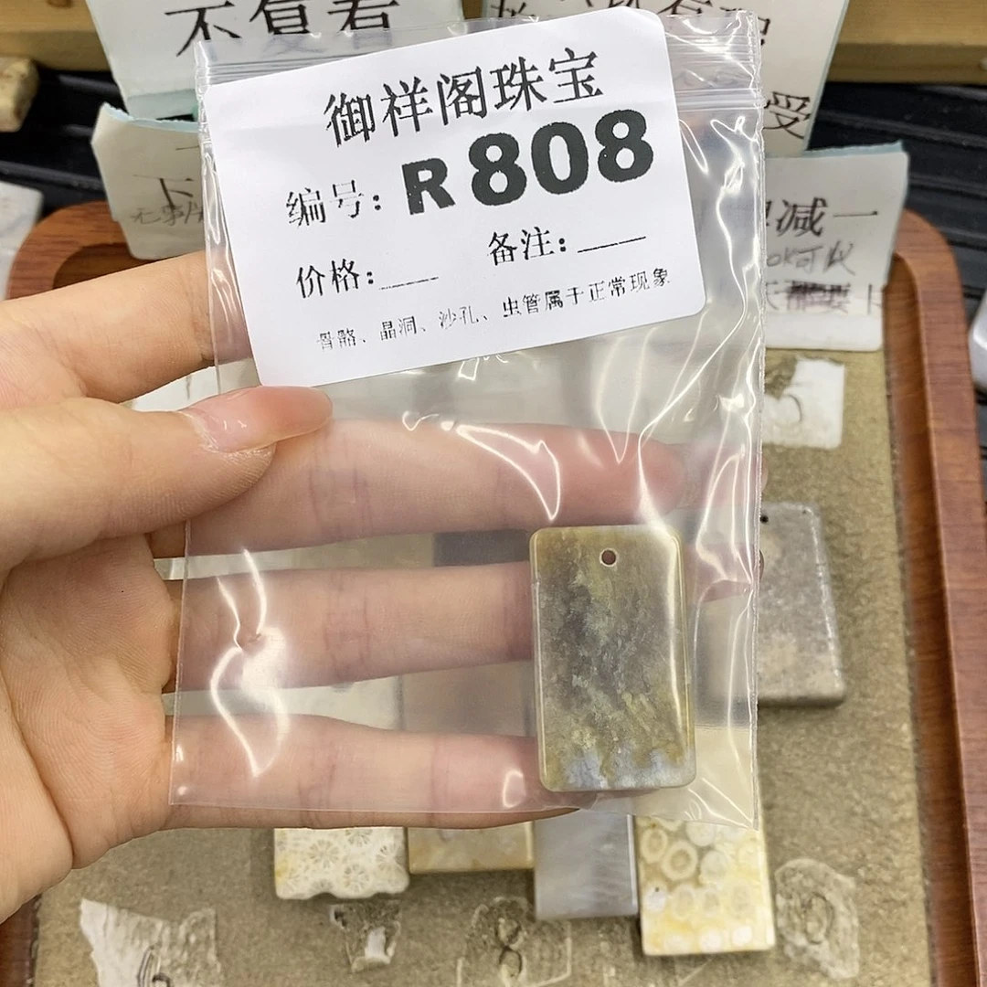 硅化珊瑚（珊瑚玉）未镶嵌颈饰刘**.