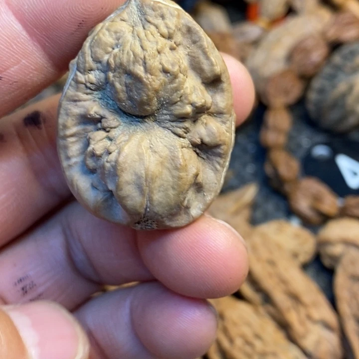 吊坠文玩核桃娜姐38