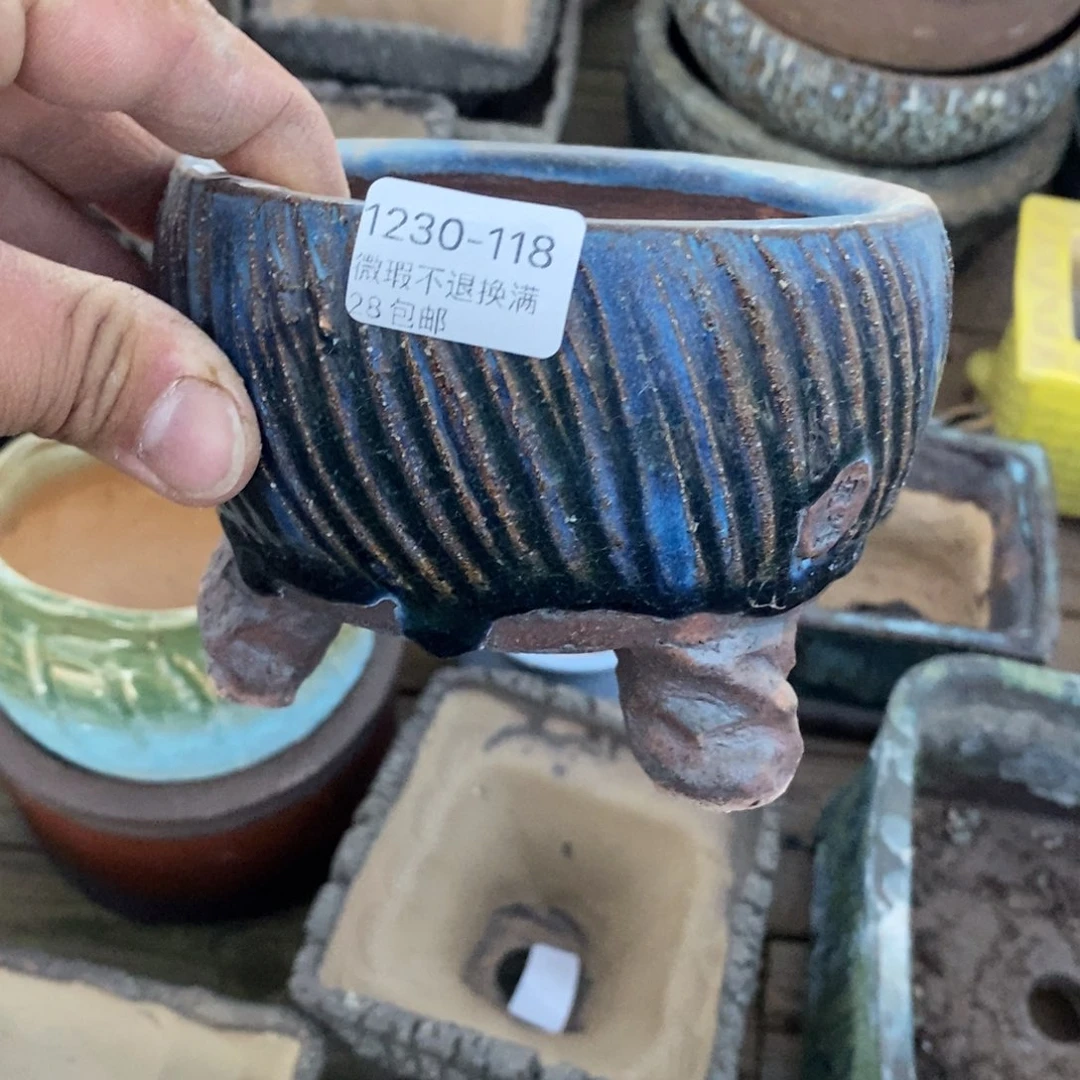 118号花盆内10.5高10