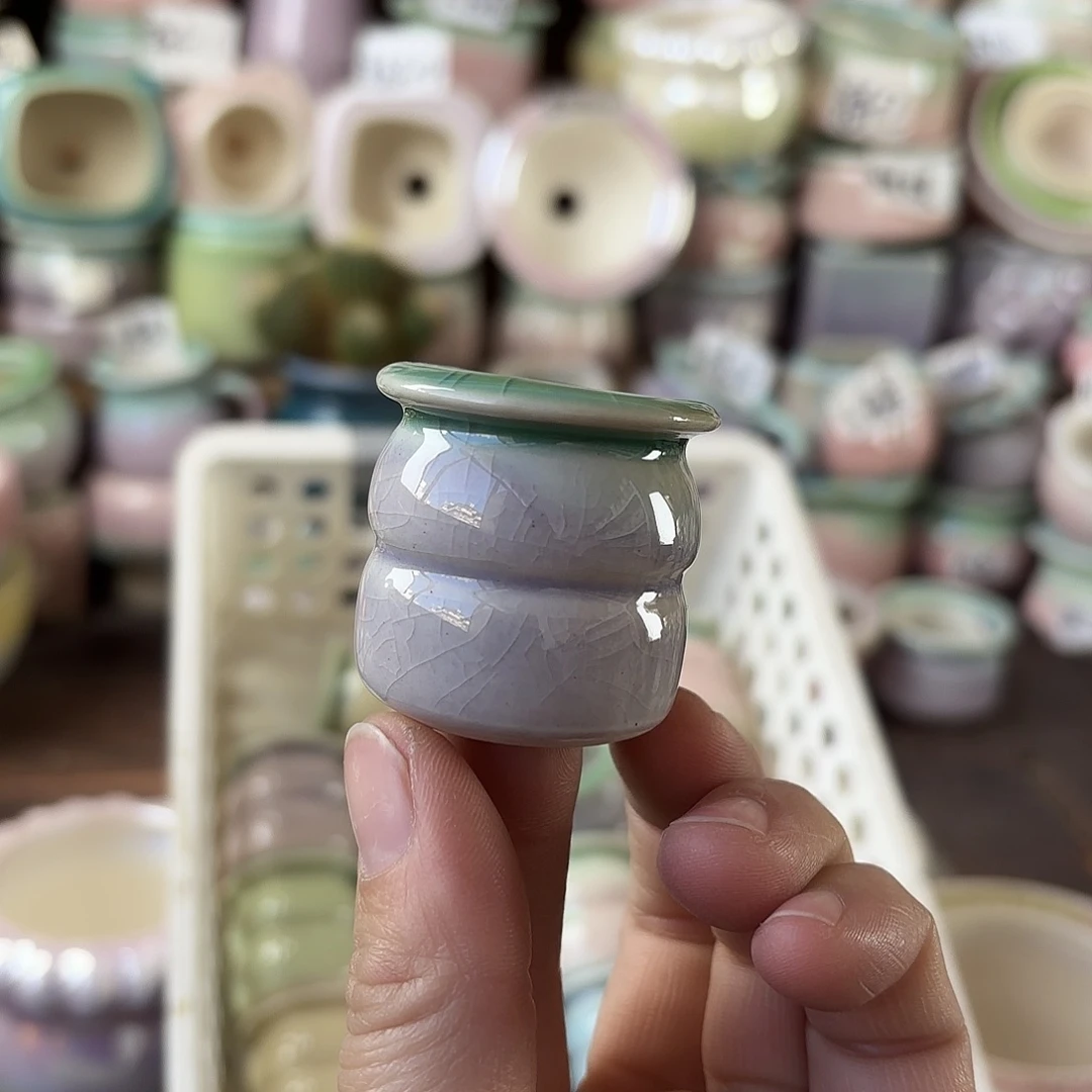 量货/口2.5高3.5深浅搭配发6