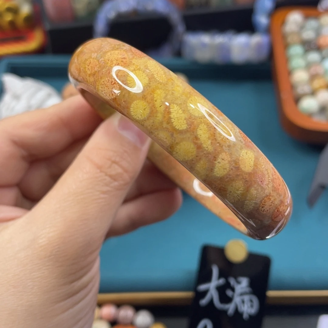 未镶嵌手镯硅化玉
