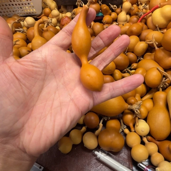 六*士又变色的一把蚂蚁葫芦六便士的