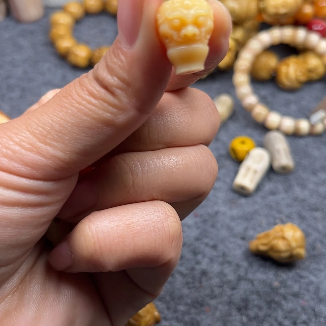 鹿骨其他人工养殖驼骨24