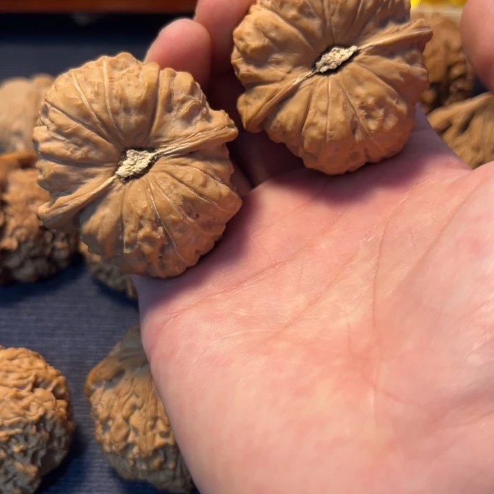 文玩核桃南瓜44全品