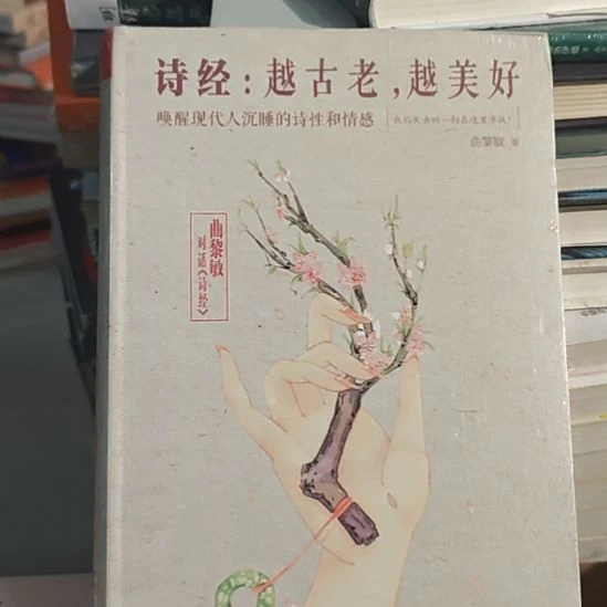 诗经越古老越美好。阮经装。