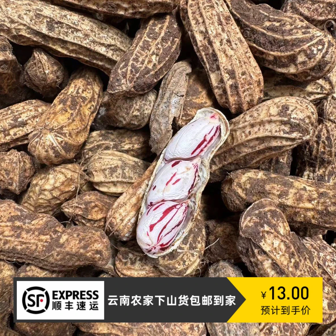 【大个山货】云南农家七彩花生
