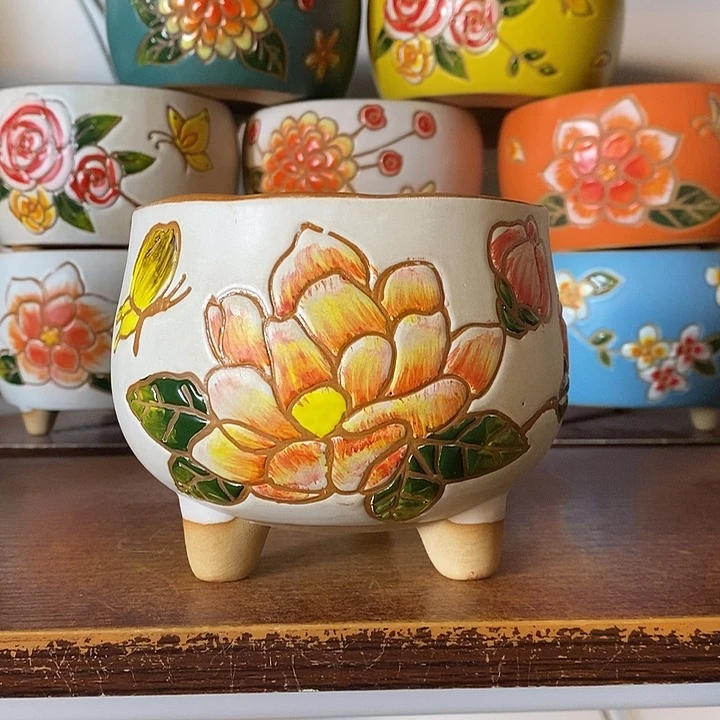 韩式多肉植物花盆