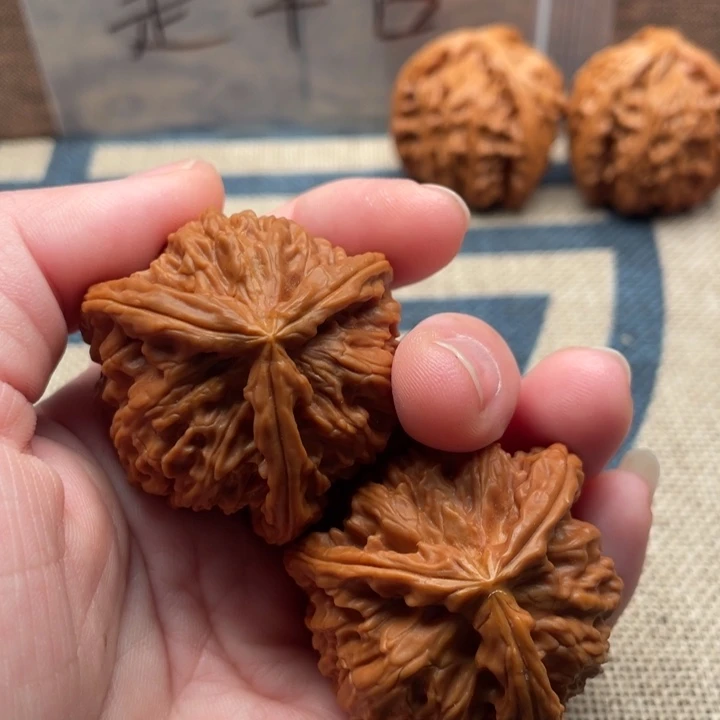 他****核桃白狮子40核桃