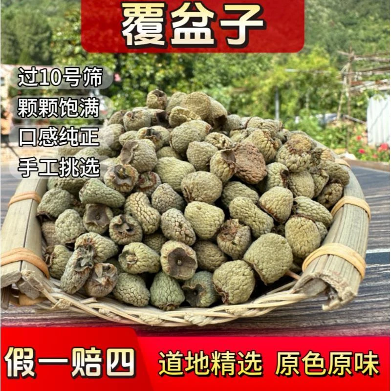 精选覆盆子正品大果浙江复盆子新货搭配山茱萸四大名泡组合茶包