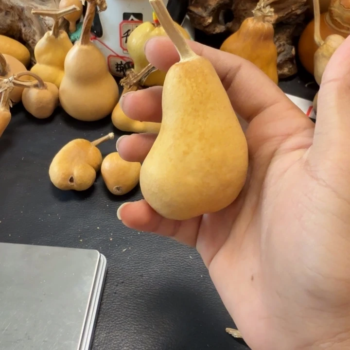 F***小988…………………………………………