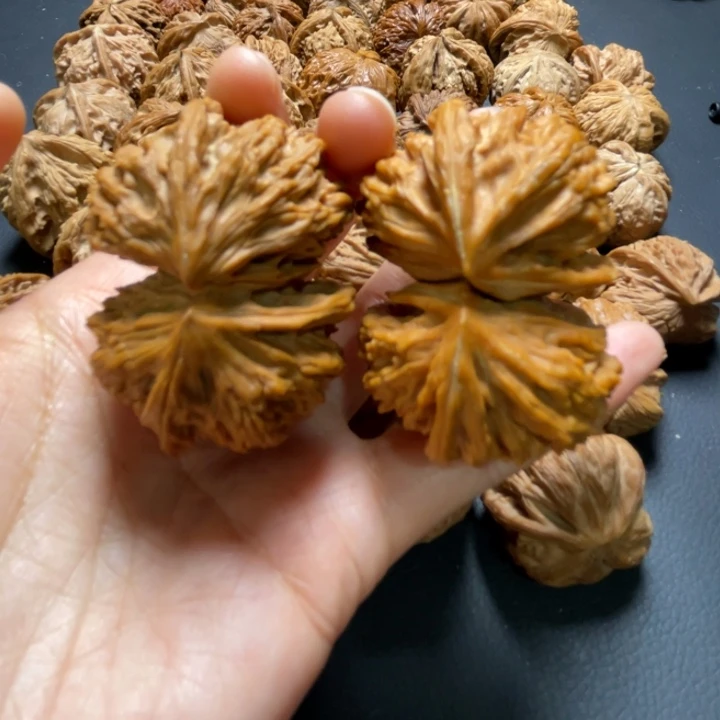 文山连体50尺寸核桃哈哈哈哈哈哈