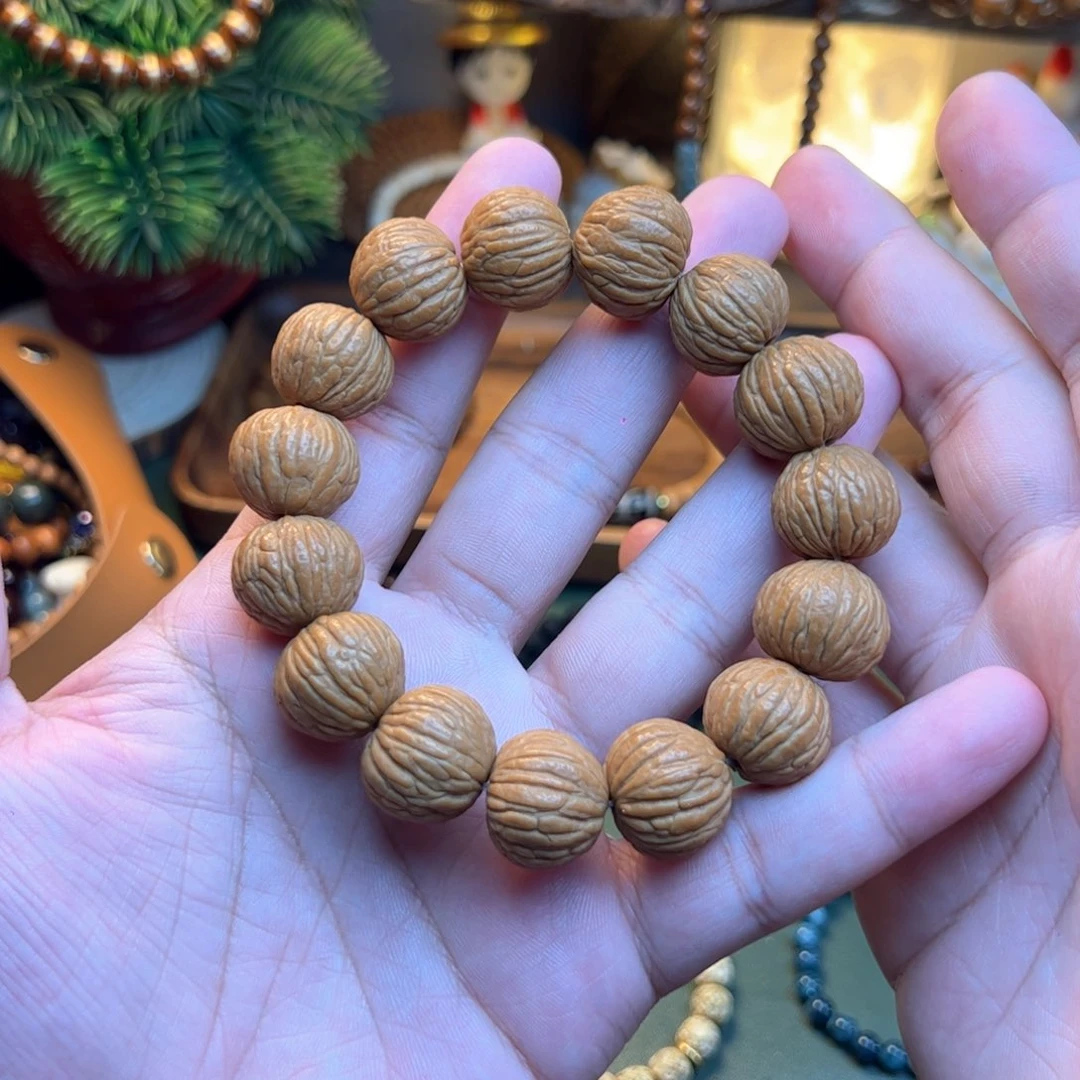 菩提根/象牙果手串