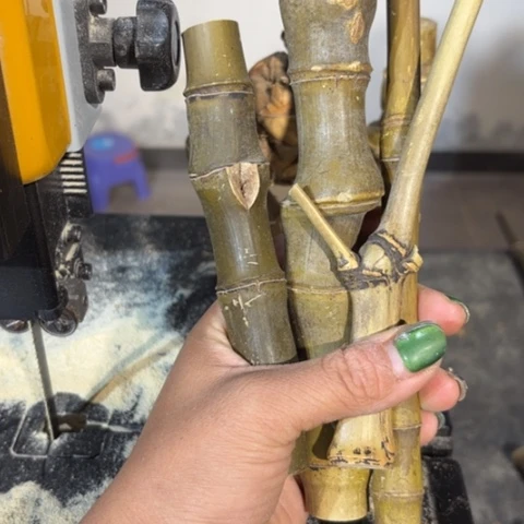 竹小*实心竹竹竹竹竹竹竹竹