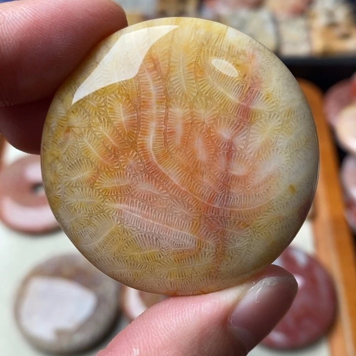 硅化玉颈饰未镶嵌钓*岛