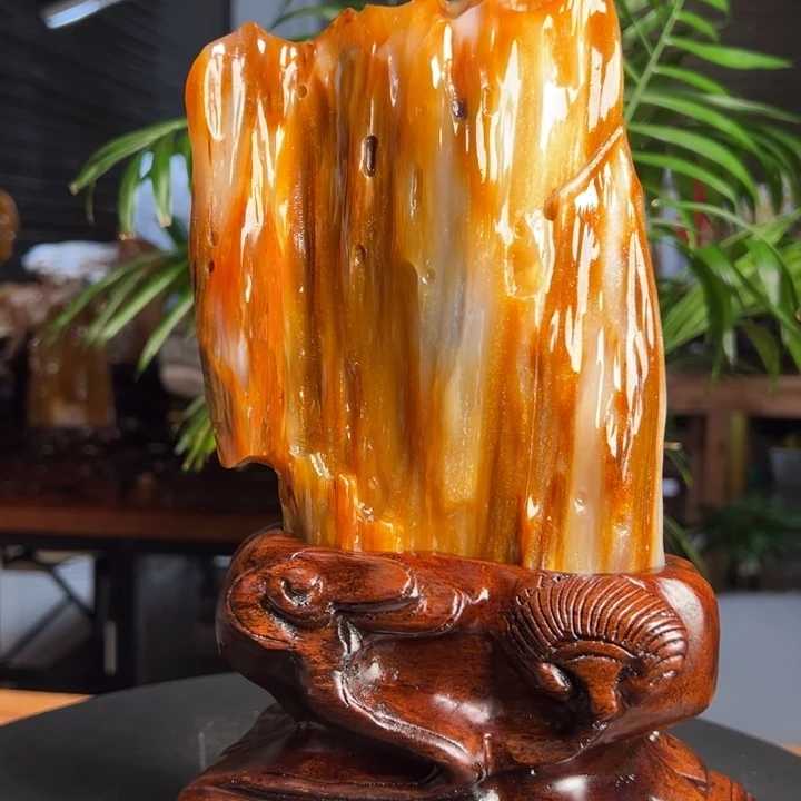 硅化玉（树化玉）未镶嵌珠宝奇石