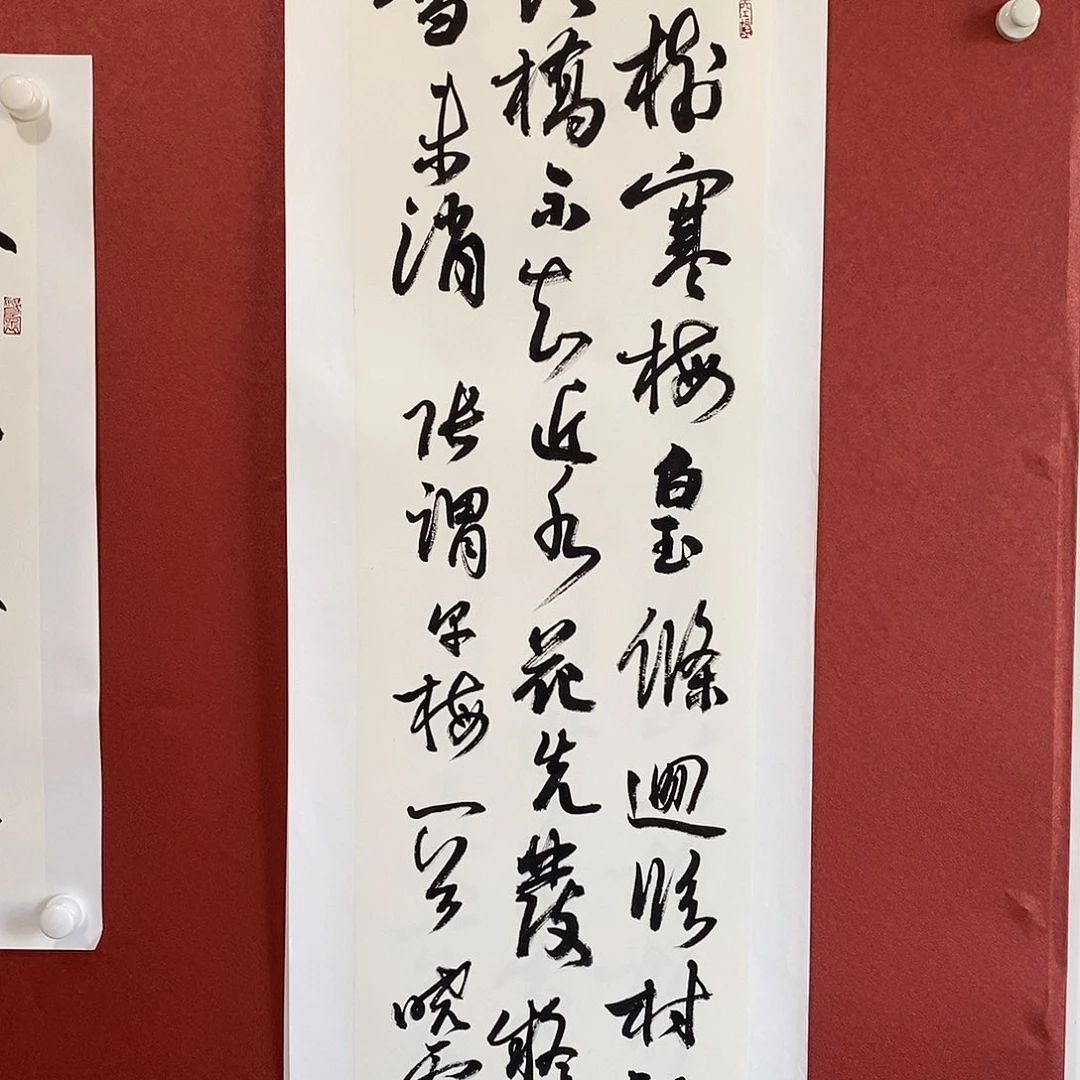 书法一树寒梅直播间大漏