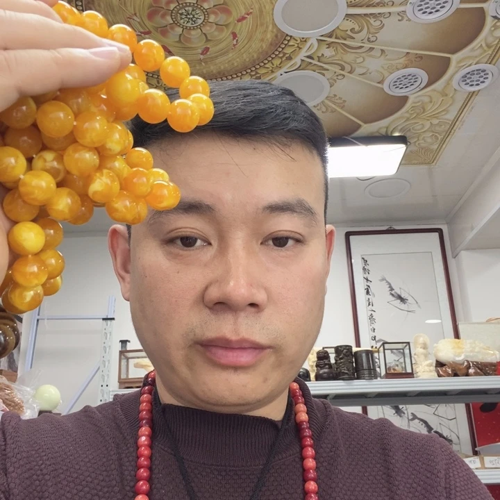 树脂非金属4597。