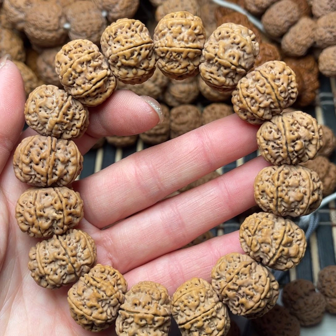 菩提尼泊尔大金刚七瓣21.5/22