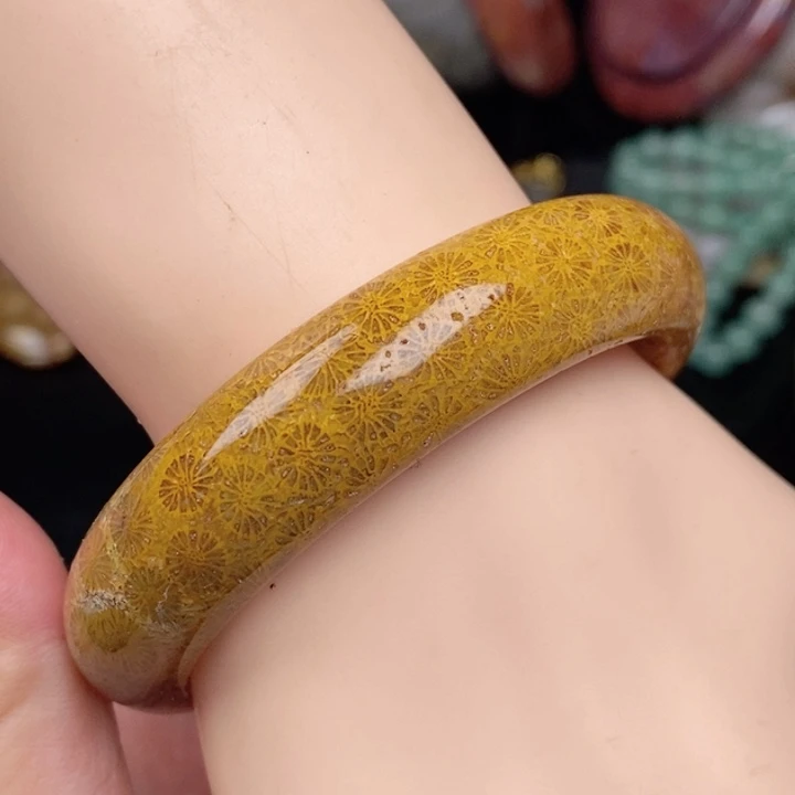 硅化玉未镶嵌手镯（圆镯）55
