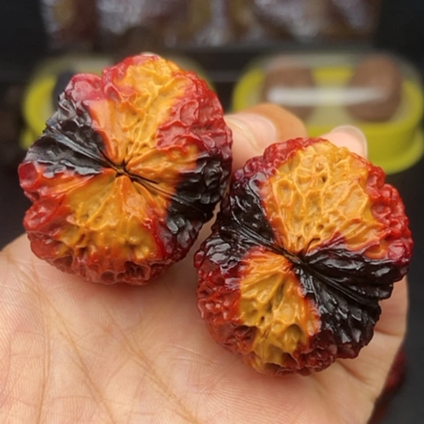 【闪购商品】文玩核桃手串37尺七彩狮子