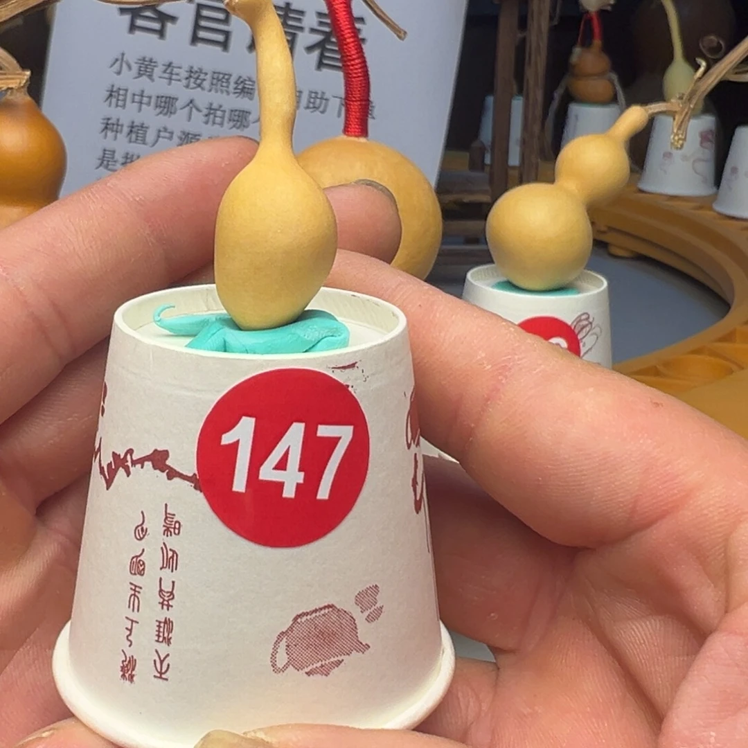 闪电购自助下单编号147