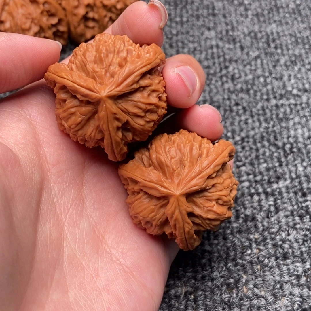 咖***薯木质类白狮子正奔