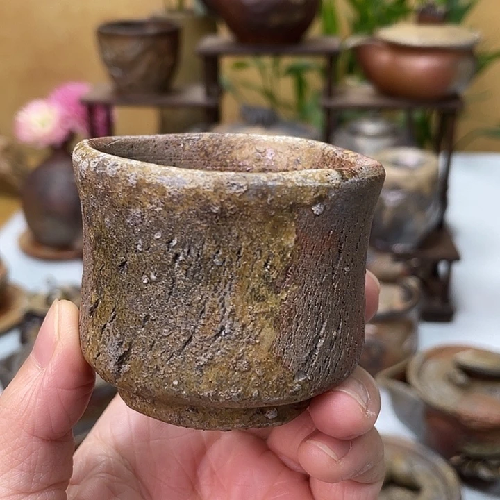 岩本修一的主人杯好