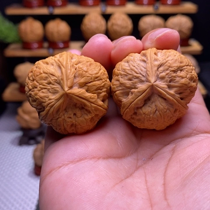 核桃云铁金鼎三棱41号