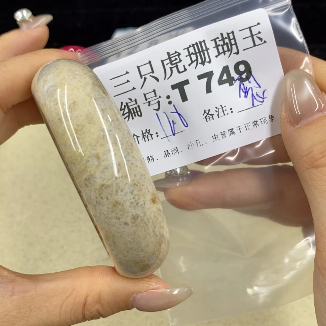 硅化珊瑚（珊瑚玉）1足银镀金镶嵌Z****）