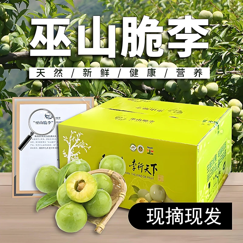 巫山脆李正宗青脆李脱骨李新鲜李子空心李奈李大果曲尺现摘现发