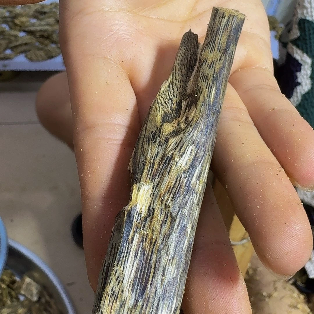 沉香碎屑沉香树心油11克加
