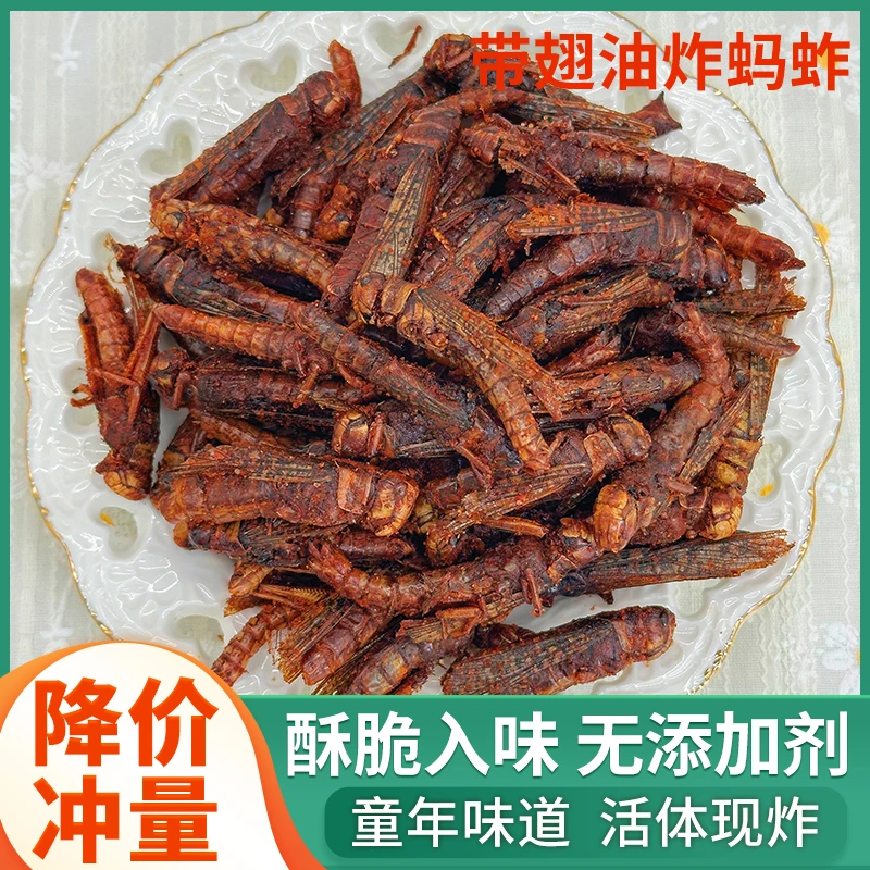 香脆油炸蝗虫带翅蚱蜢食用下酒菜香辣孜然即食农村特产