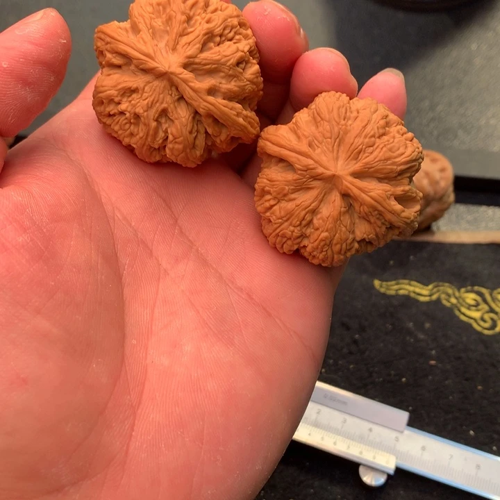 文玩核桃把件114号45全品大粗筋