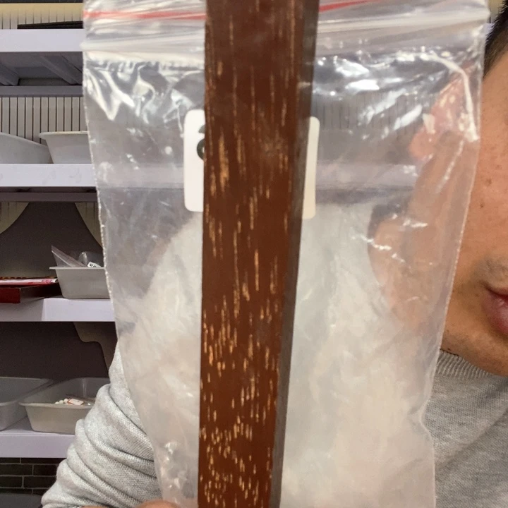 大果紫檀（缅甸花梨）5826