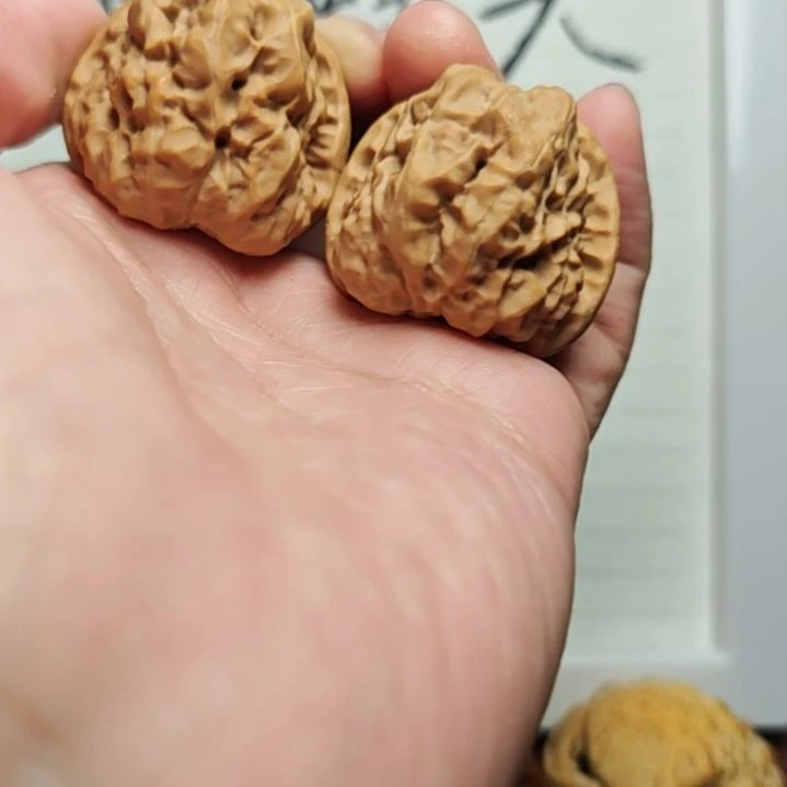核桃手串/手链蛤蟆头福利1米