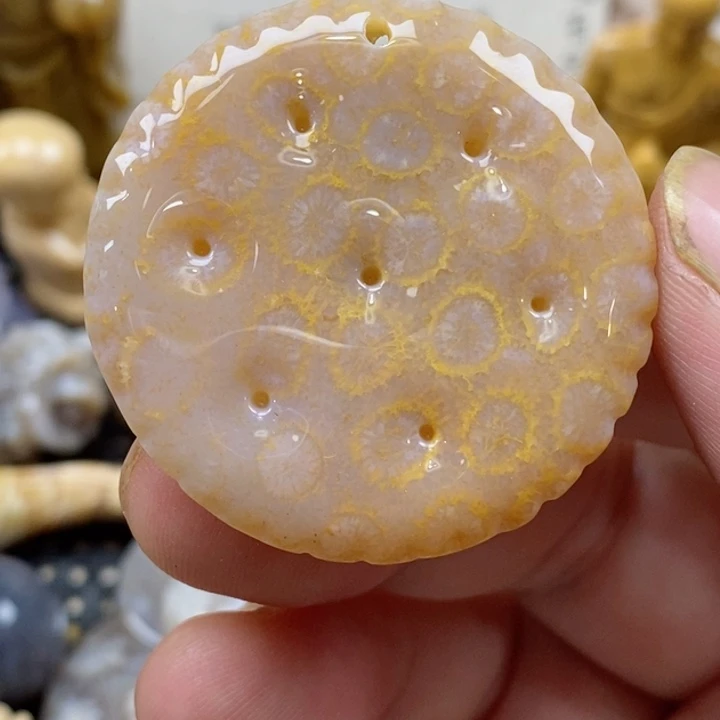 颈饰未镶嵌硅化珊瑚（珊瑚玉）