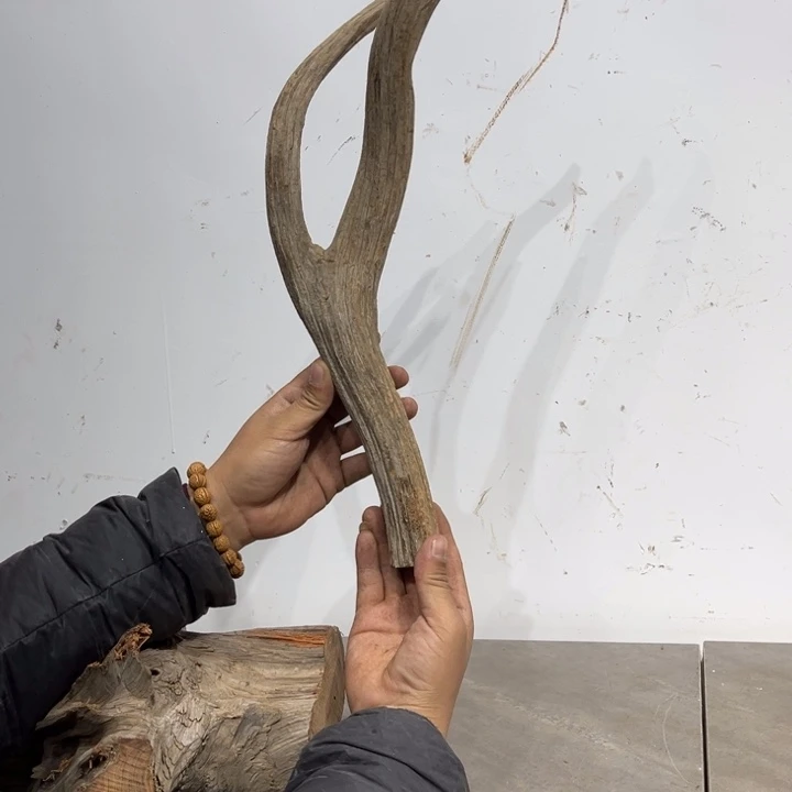 夏***羊柏木崖柏等资源丰富而闻名的古