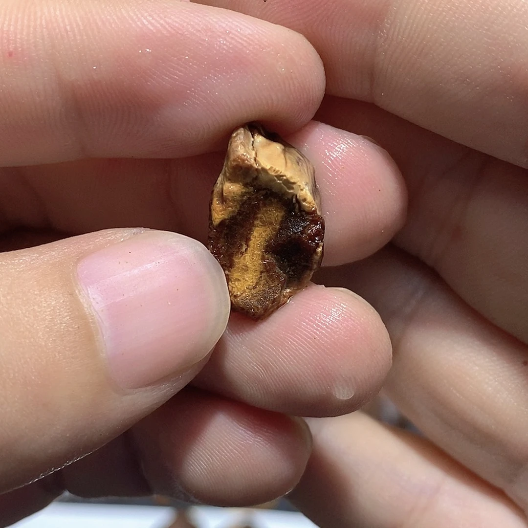 飞***生定制琥珀蜜蜡原石定制