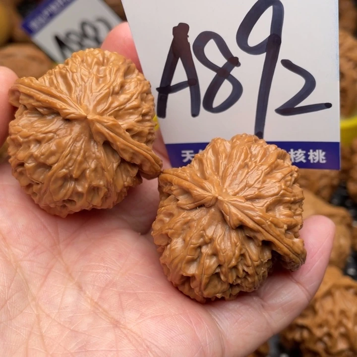 把件桃核白狮子40